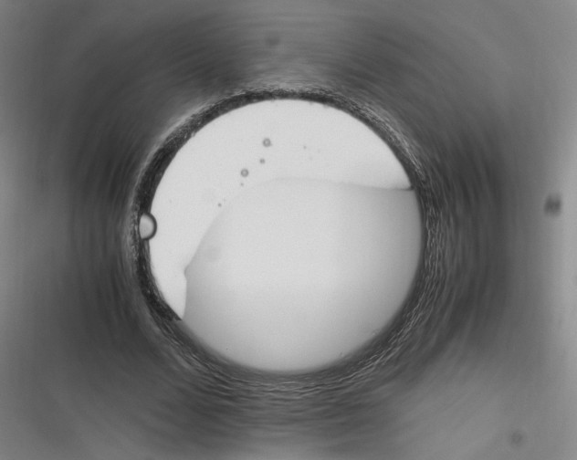 X0000116260680201001110954