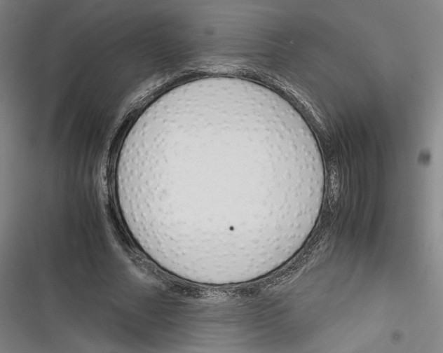 X0000116260682201001110954