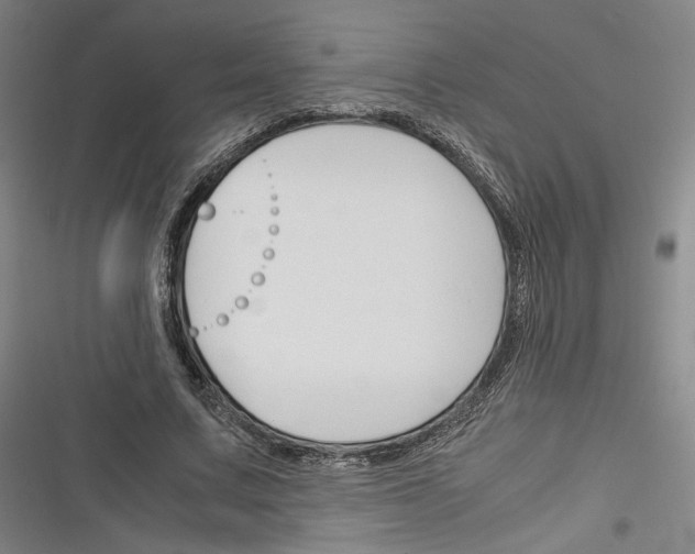 X0000116260683201001110954