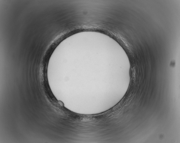 X0000116260684201001110954