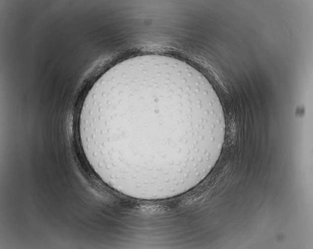 X0000116260686201001110954