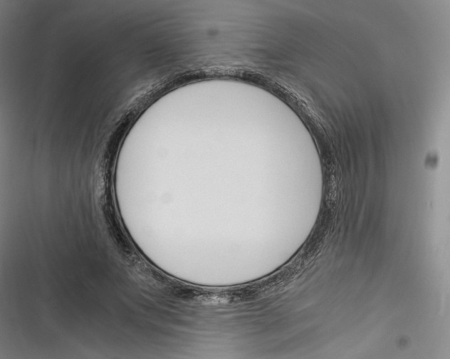 X0000116260687201001110954