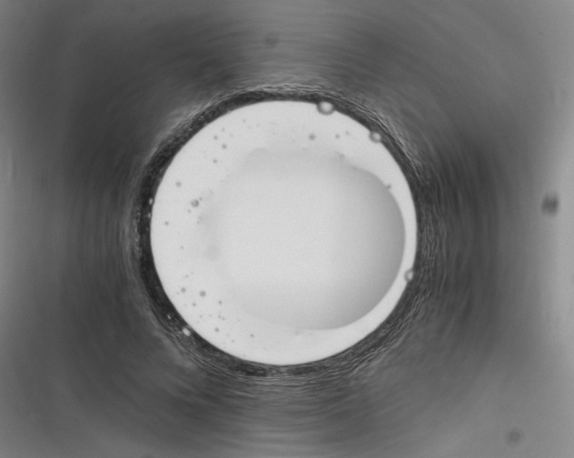 X0000116260688201001110954