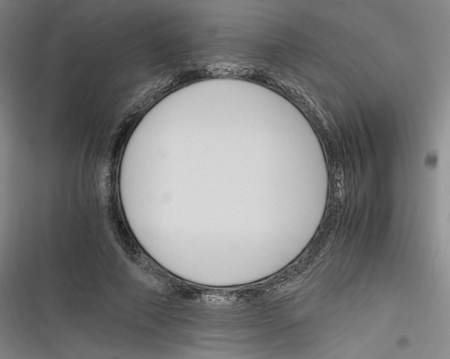 X0000116260690201001110954