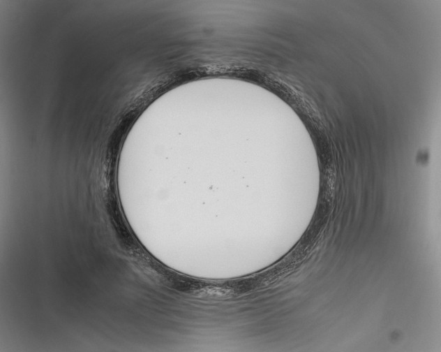 X0000116260691201001110954