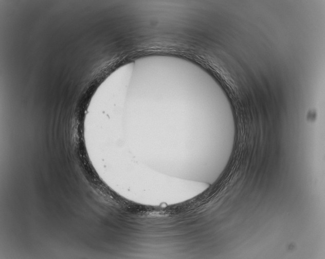 X0000116260692201001110954