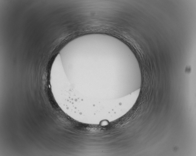 X0000116260693201001110954