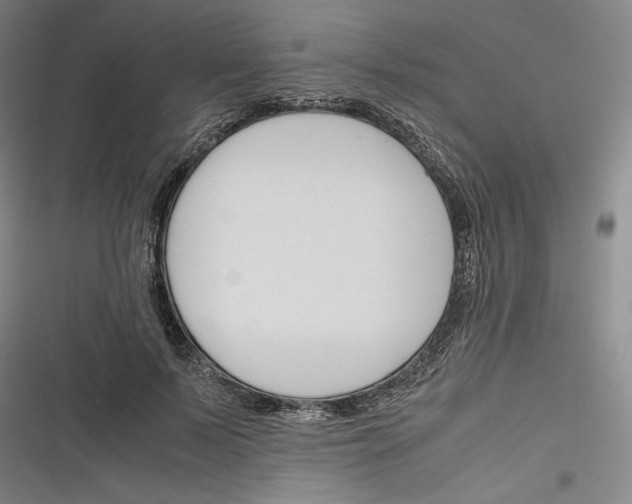 X0000116260695201001110954