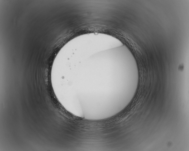 X0000116260696201001110954