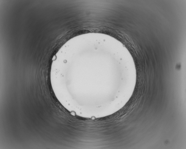X0000116260697201001110954