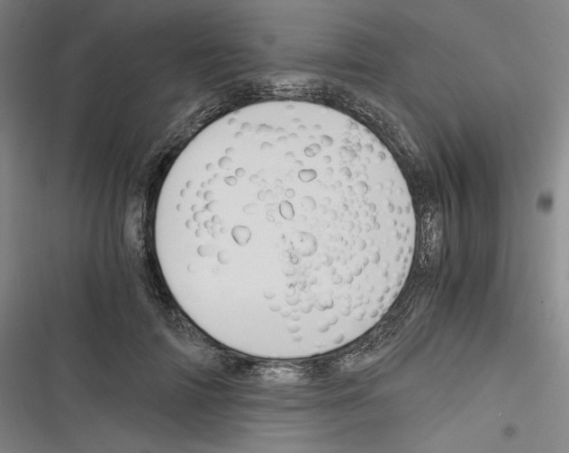 X0000116260698201001110954