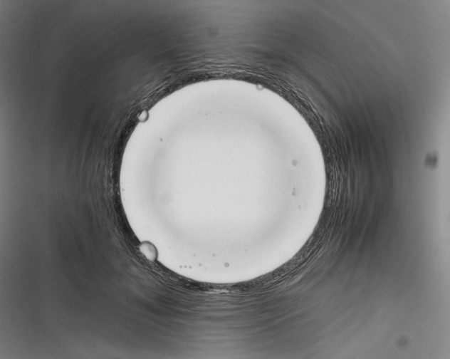 X0000116260700201001110954