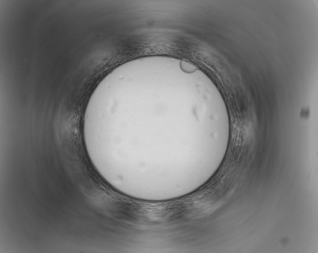 X0000116260701201001110954