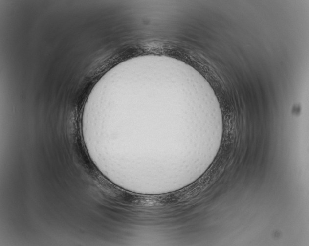 X0000116260702201001110954