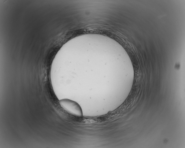 X0000116260703201001110954