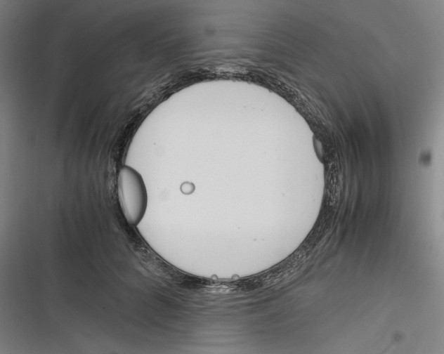 X0000116260704201001110953