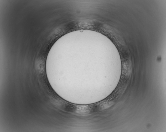 X0000116260705201001110953