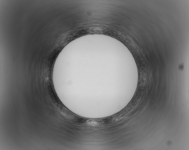 X0000116260706201001110953