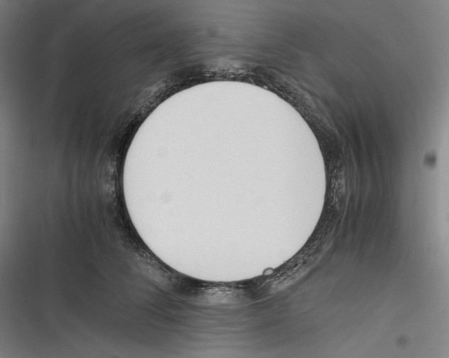 X0000116260708201001110953