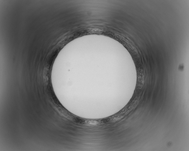 X0000116260710201001110953