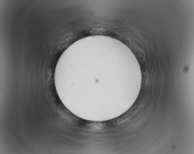 X0000116260711201001110953