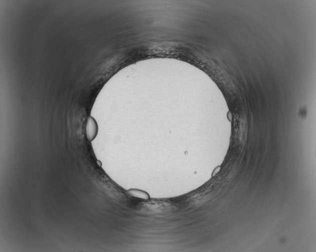 X0000116260712201001110953