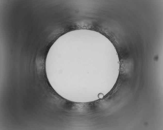 X0000116260713201001110953