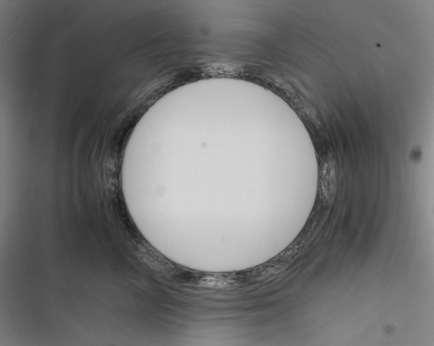 X0000116260714201001110953
