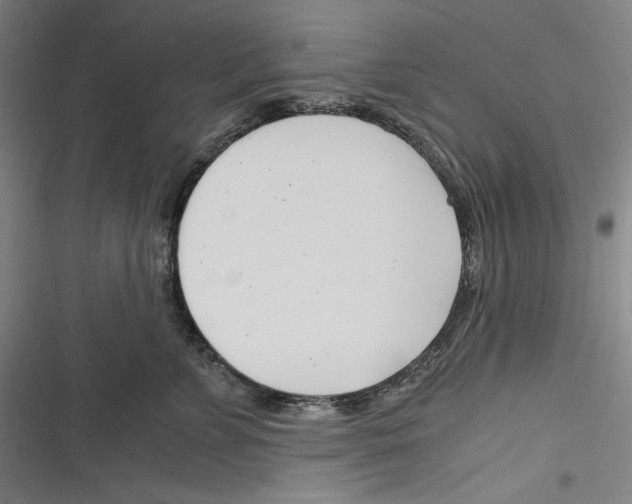 X0000116260715201001110953