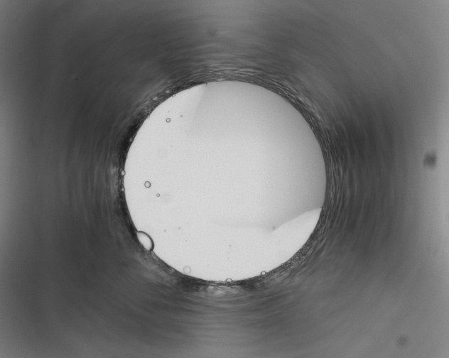 X0000116260716201001110953