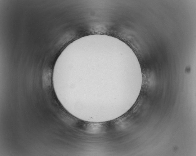 X0000116260717201001110953