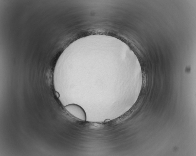 X0000116260718201001110953