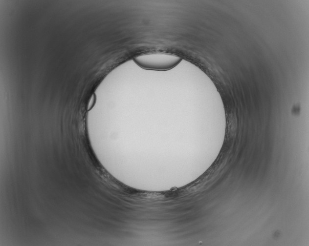 X0000116260719201001110953