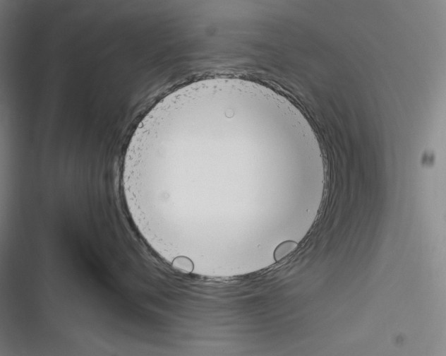 X0000116260720201001110953