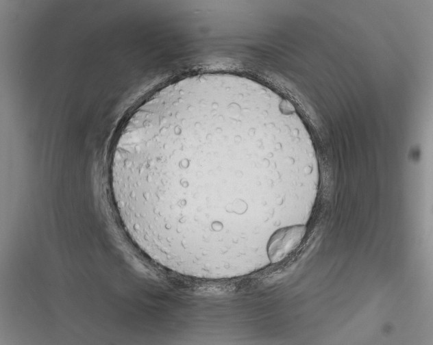 X0000116260721201001110953