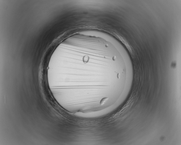 X0000116260722201001110953
