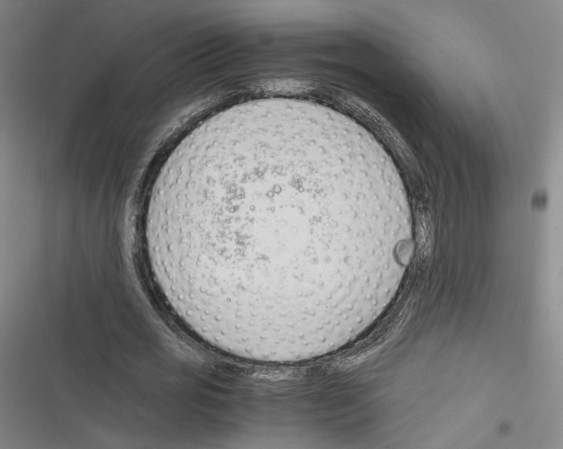 X0000116260725201001110953