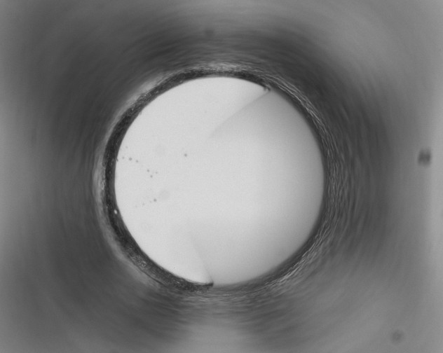 X0000116260726201001110953