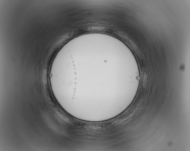 X0000116260729201001110953