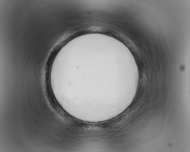X0000116260730201001110953