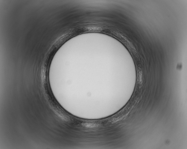 X0000116260733201001110953