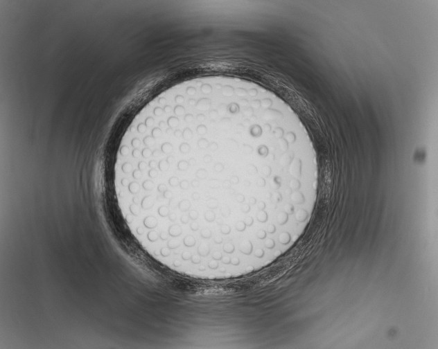 X0000116260734201001110953