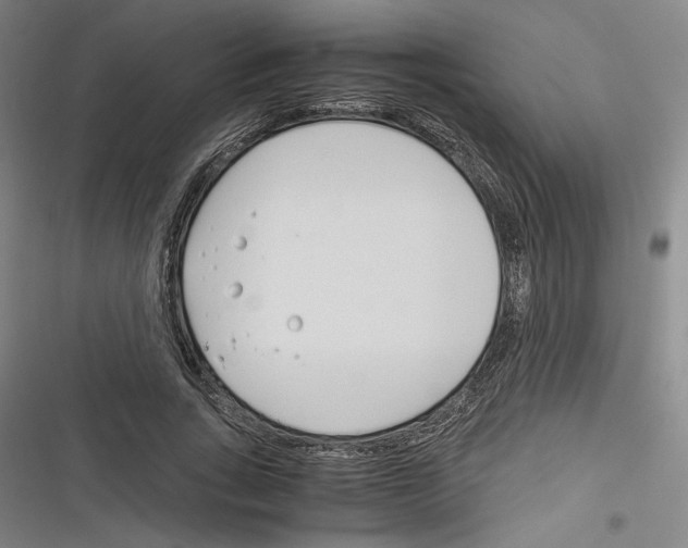 X0000116260735201001110953