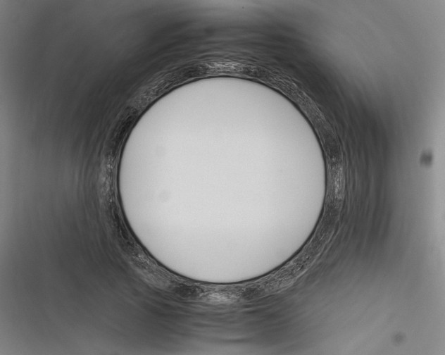 X0000116260737201001110953
