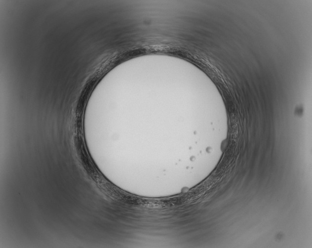 X0000116260738201001110953
