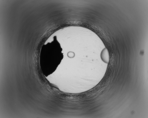 X0000116260739201001110953