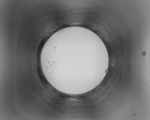 X0000116260743201001110953