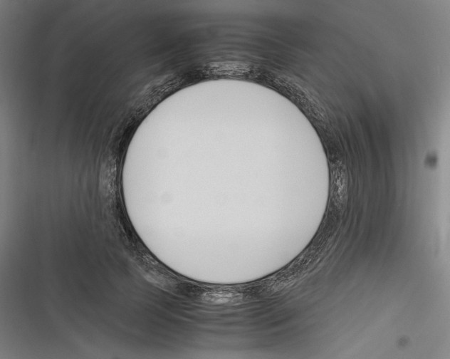 X0000116260745201001110953