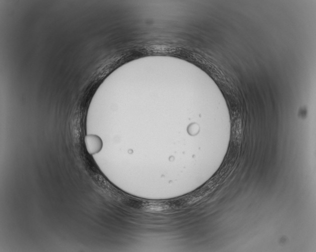 X0000116260746201001110953