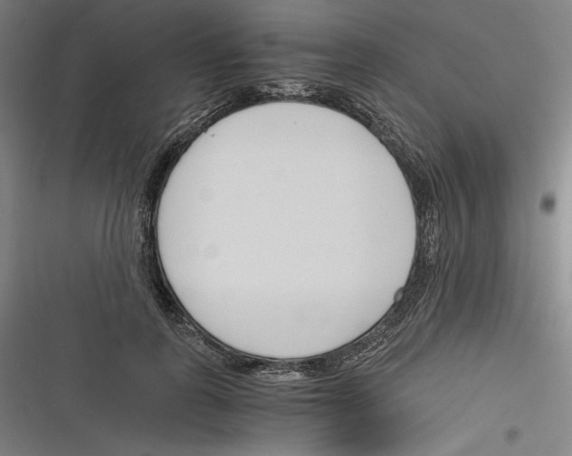 X0000116260747201001110953